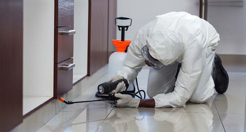 Pest and Termite Control Services