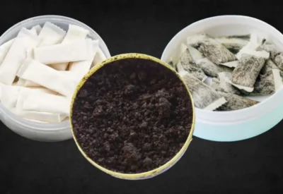 Lasting Flavor Release Enhances Overall Nicotine Pouch Satisfaction Levels Significantly